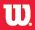 Wilson Promotional Sports Items