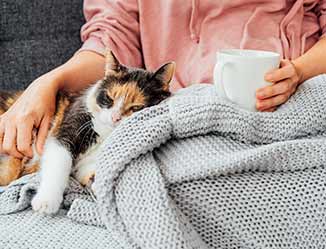 A person and a cat sitting under a cozy blanket.
